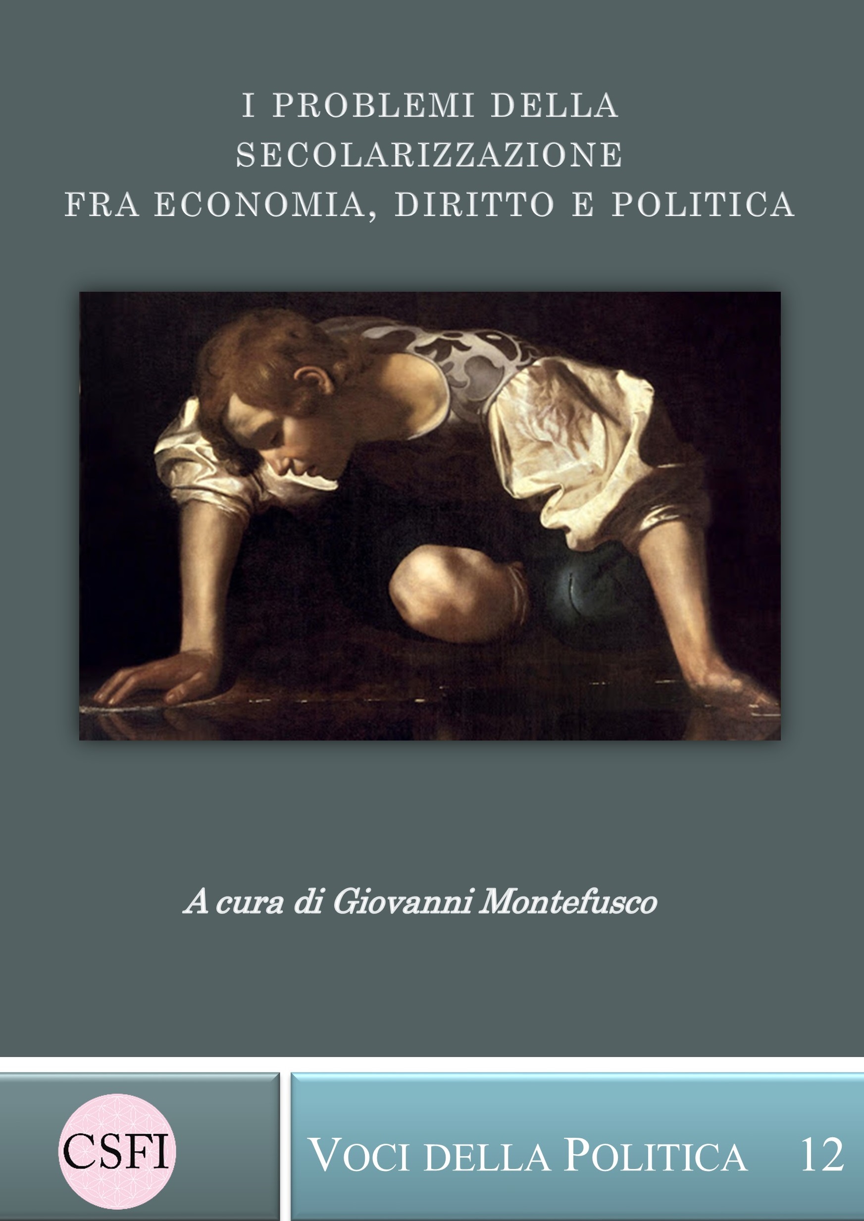 Dodicesimo volume della collana Voci della Politica